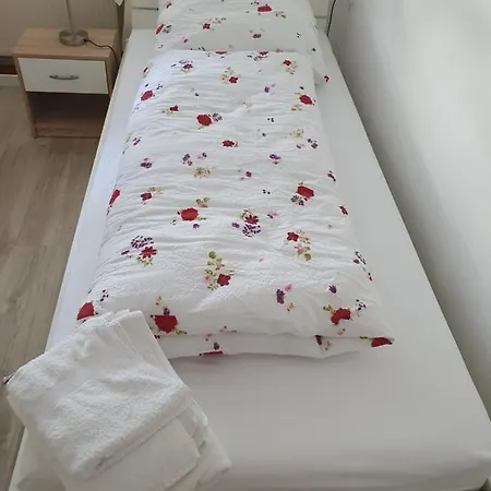 An Der Universitaetsklinik Mainz. Sehr Zentral ホームステイ マインツ